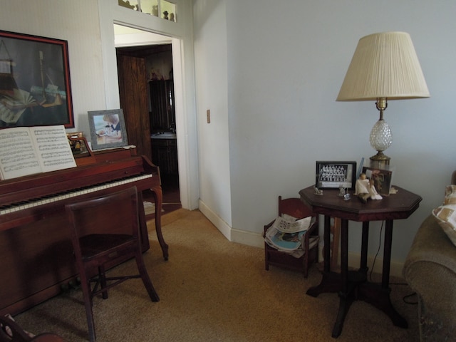 miscellaneous room featuring light carpet