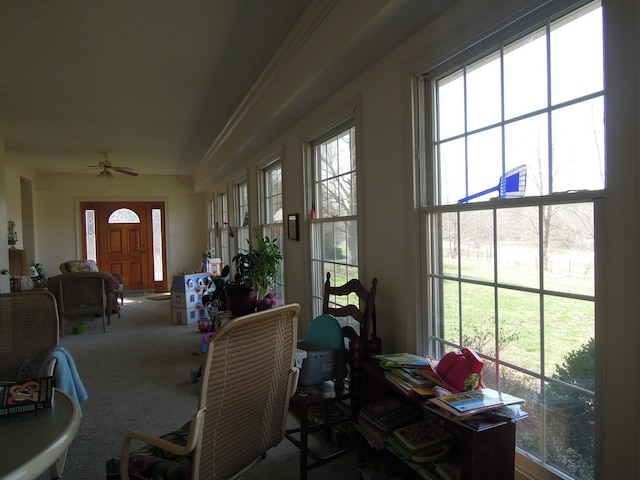 carpeted dining space with plenty of natural light, ornamental molding, and ceiling fan