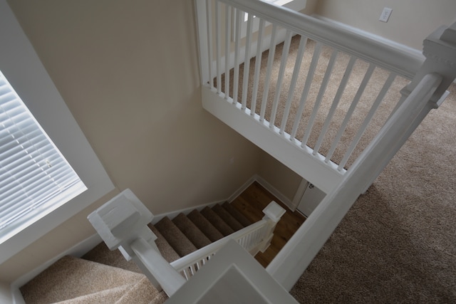 stairs with carpet flooring