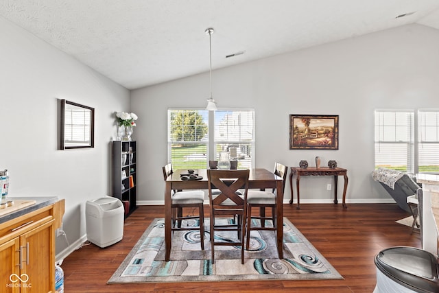 5220 Ariana Ct, Indianapolis, IN 46227 - dining space with vaulted ceiling, healthy amount of natural light, and dark wood-style floors