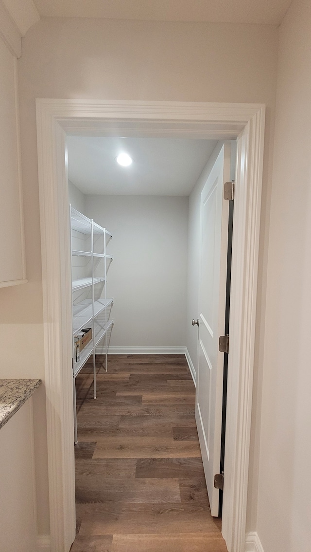 spacious closet featuring dark hardwood / wood-style flooring