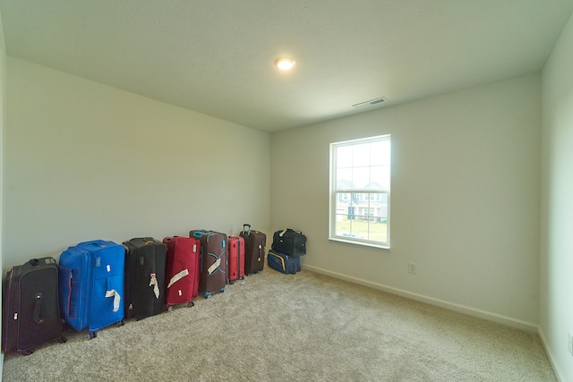 miscellaneous room featuring light colored carpet