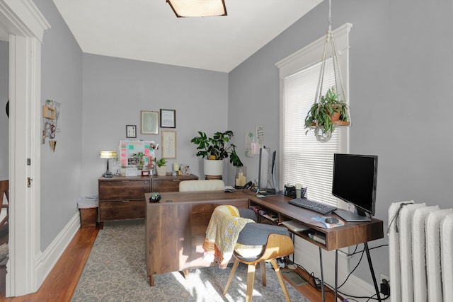 office space with dark hardwood / wood-style floors and radiator