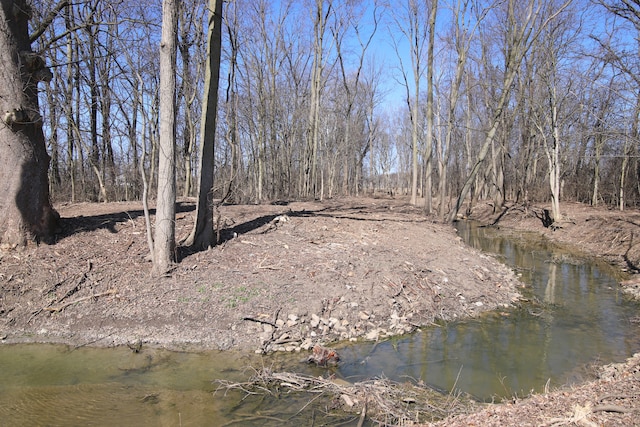 view of local wilderness with a water view