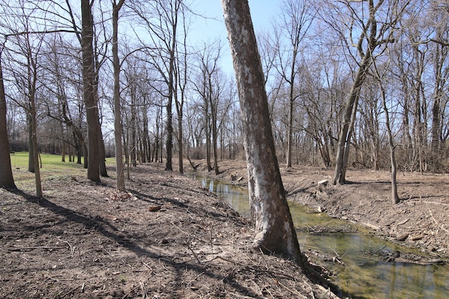 view of local wilderness featuring a water view