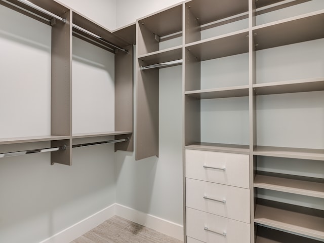 walk in closet with light wood-type flooring