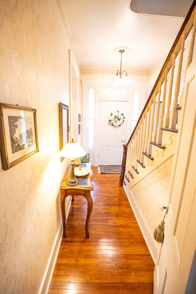 foyer entrance with crown molding and dark hardwood / wood-style floors