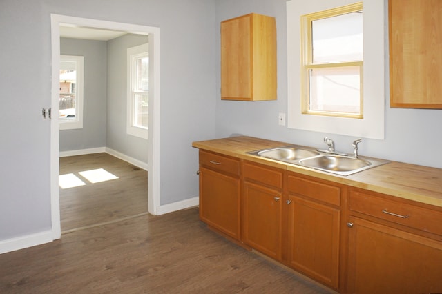 kitchen featuring dark hardwood / wood-style flooring, sink, and butcher block counters