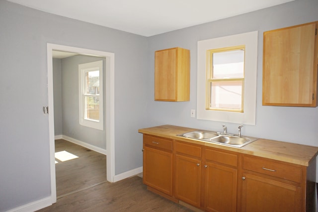 kitchen with sink, dark wood-type flooring, and butcher block countertops