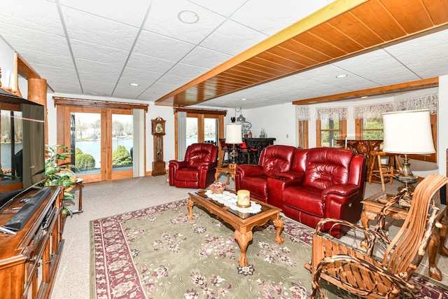 living room with french doors and a wealth of natural light