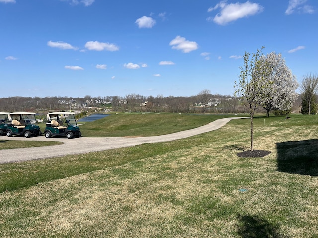 surrounding community featuring a lawn