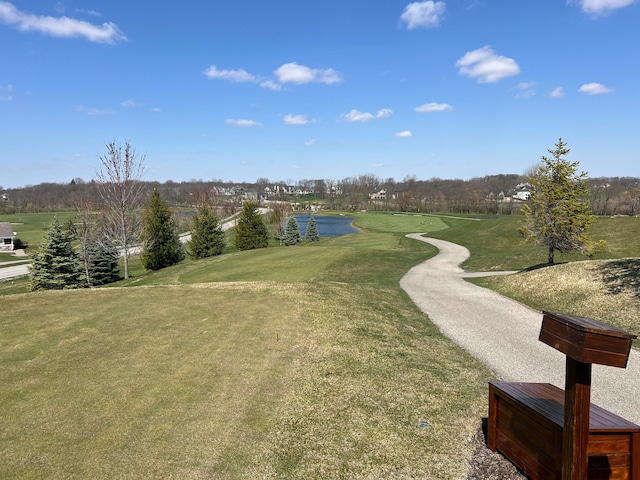 view of property's community with a yard