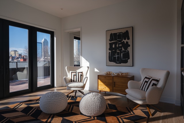 living area with french doors