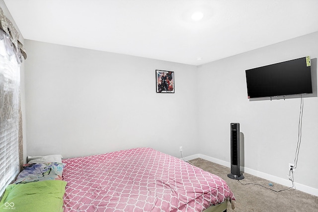 bedroom featuring carpet