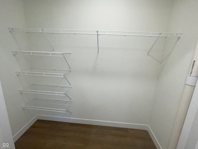 walk in closet with wood-type flooring