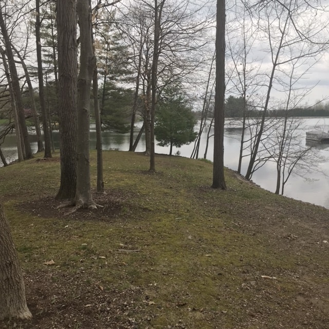 view of yard with a water view