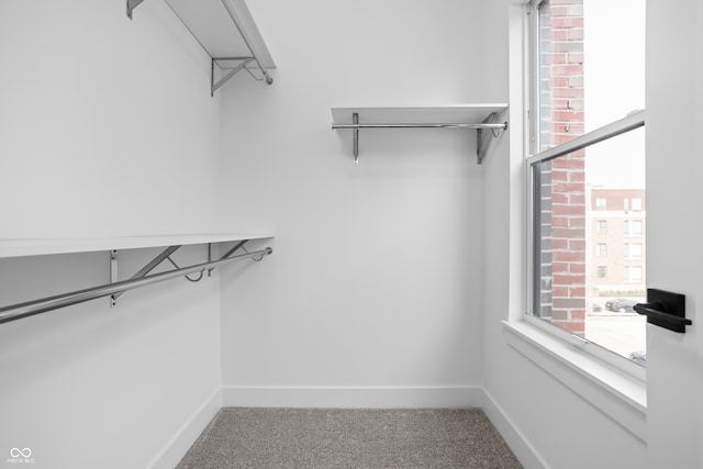 walk in closet featuring carpet flooring