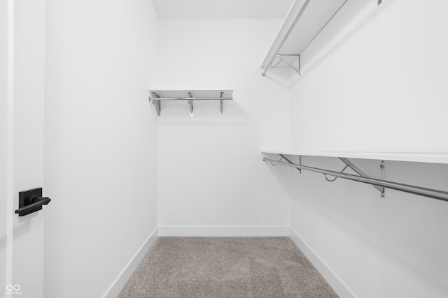 spacious closet with carpet floors