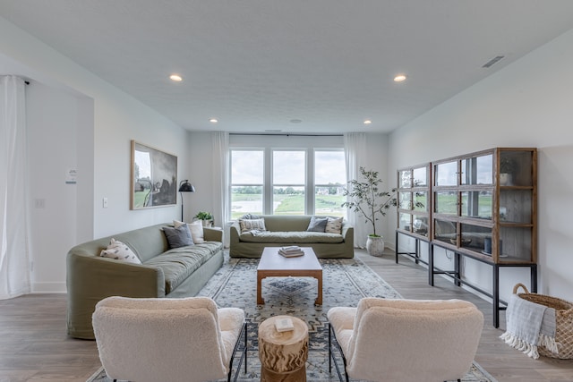 living room featuring light hardwood / wood-style floors