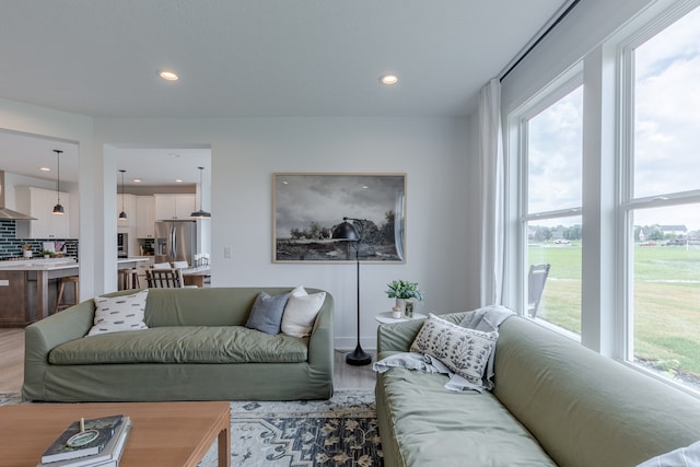 living room featuring light hardwood / wood-style floors and a healthy amount of sunlight