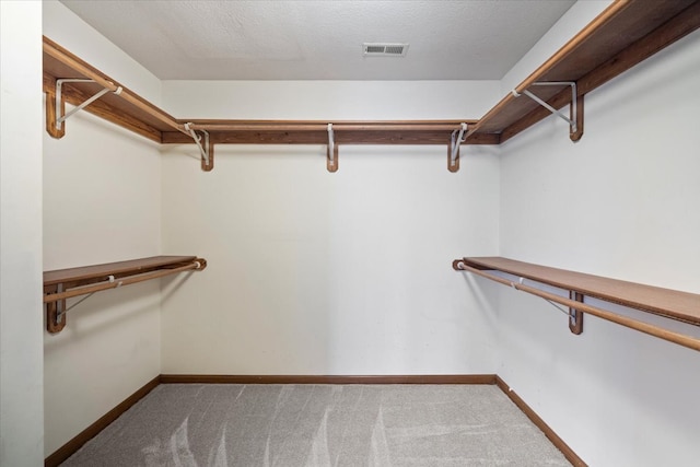 spacious closet with carpet flooring