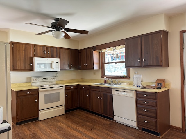 kitchen with ceiling fan, dark brown cabinetry, sink, white appliances, and dark hardwood / wood-style floors