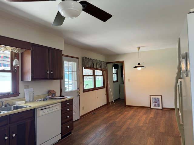 kitchen with ceiling fan, white appliances, dark brown cabinetry, decorative light fixtures, and dark hardwood / wood-style floors