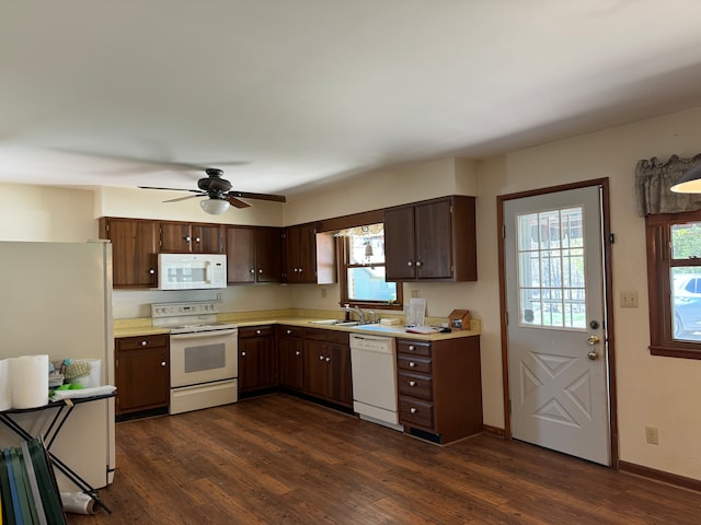 kitchen featuring white appliances, dark hardwood / wood-style floors, sink, and plenty of natural light