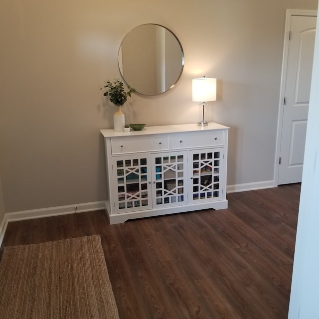 interior space featuring dark hardwood / wood-style flooring and white cabinetry