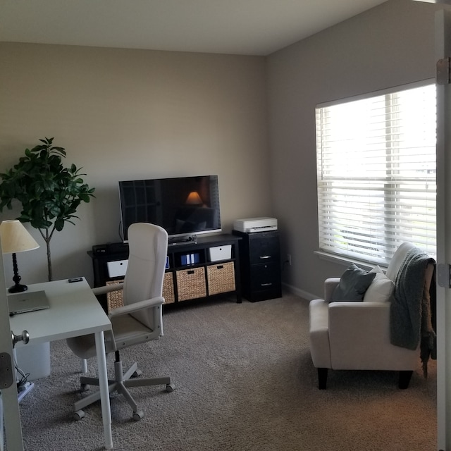 view of carpeted home office