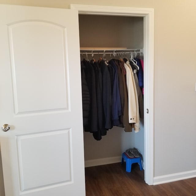 view of closet