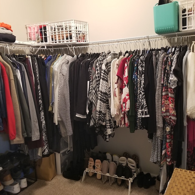 walk in closet featuring carpet