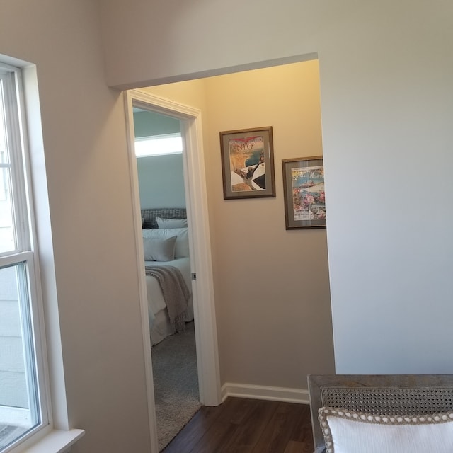 hallway featuring a wealth of natural light and dark hardwood / wood-style flooring