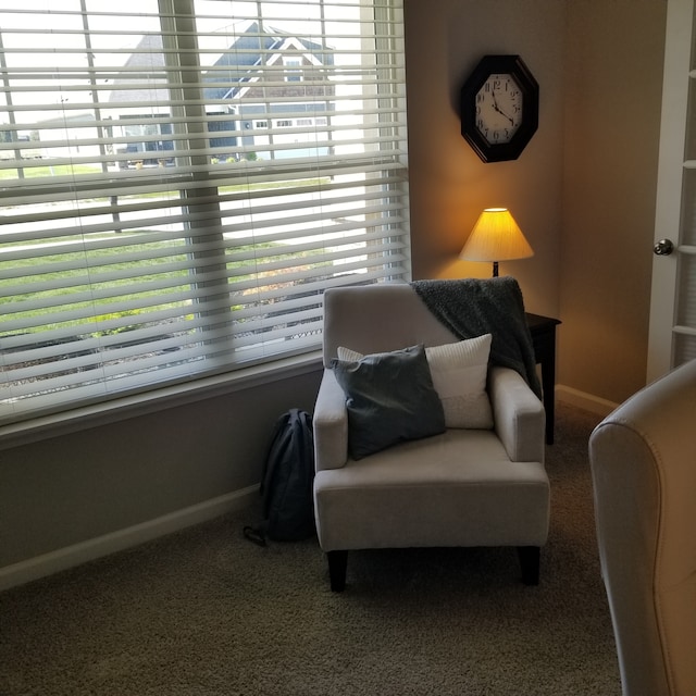 sitting room featuring carpet flooring