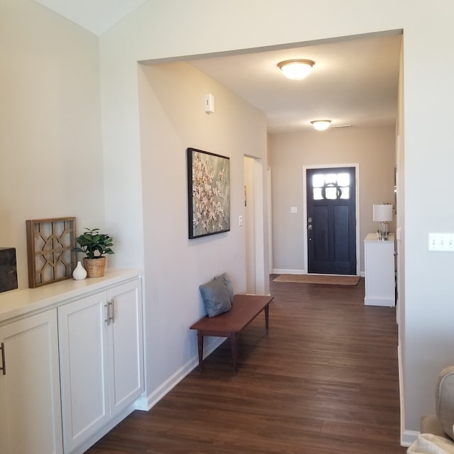 entryway with dark hardwood / wood-style flooring