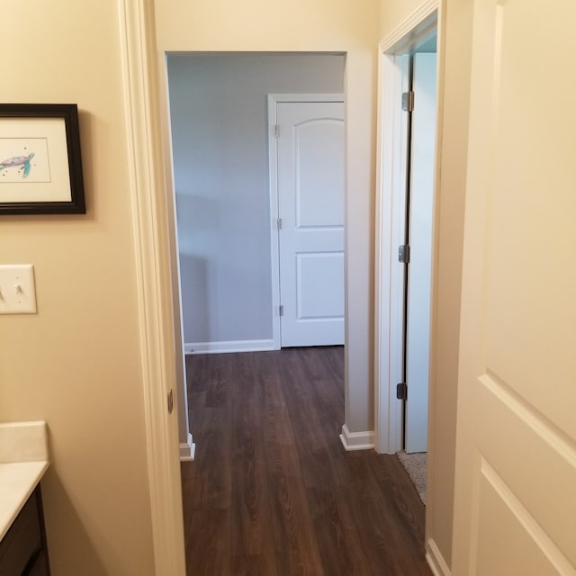 hallway featuring dark hardwood / wood-style flooring