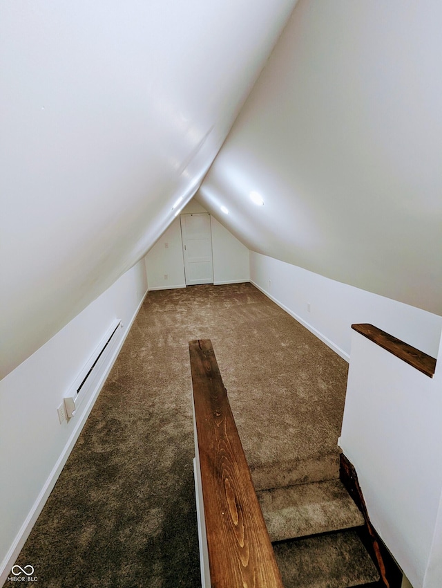 additional living space featuring carpet, baseboard heating, and vaulted ceiling