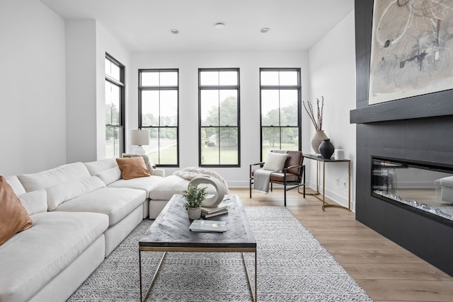 living room with hardwood / wood-style floors and a fireplace