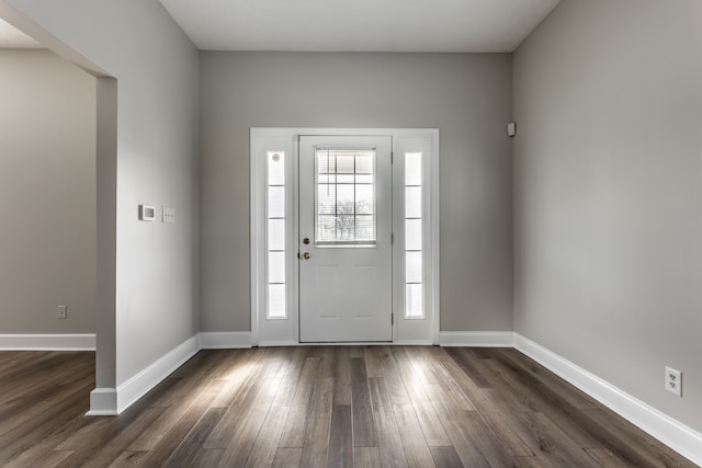 entrance foyer featuring plenty of natural light and dark wood-type flooring