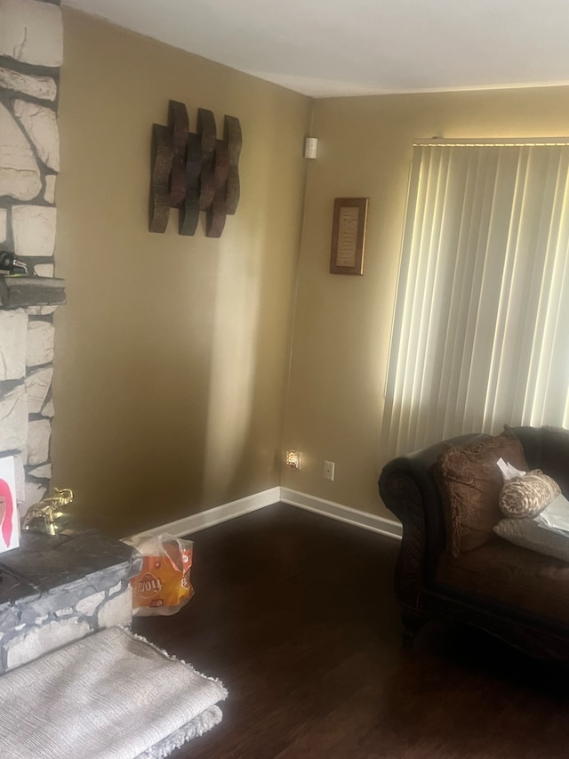 interior space featuring a fireplace and dark wood-type flooring