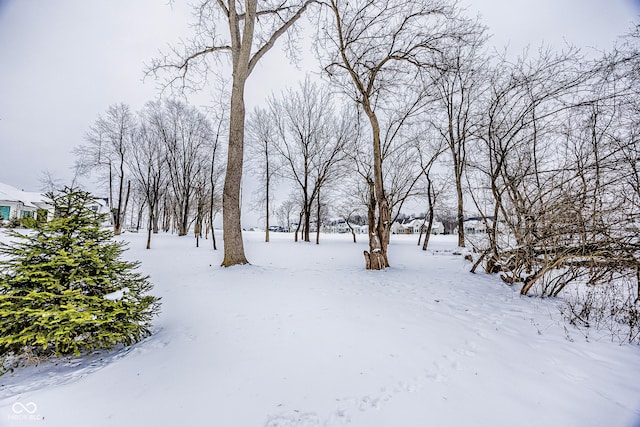 view of yard covered in snow