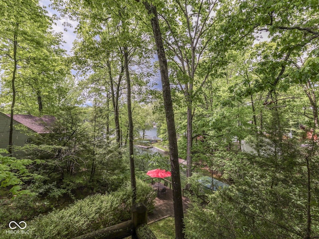 6486 Coyote Dr, Nineveh, IN 46164 - water view