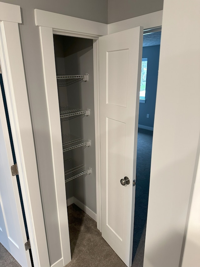 view of pantry