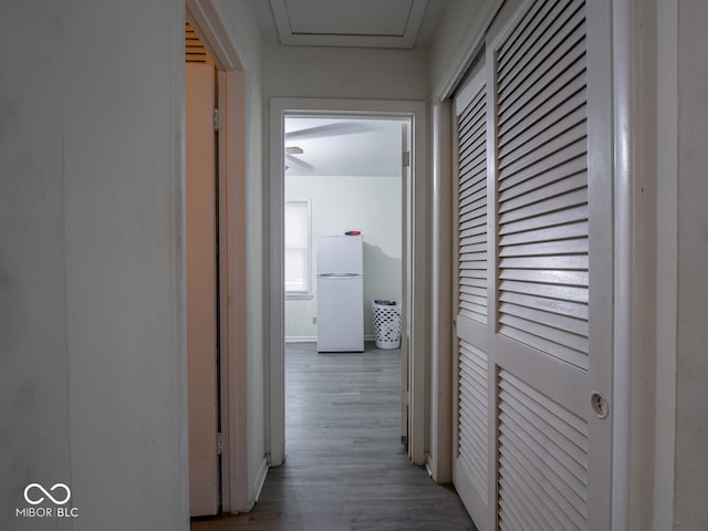 hallway with hardwood / wood-style flooring