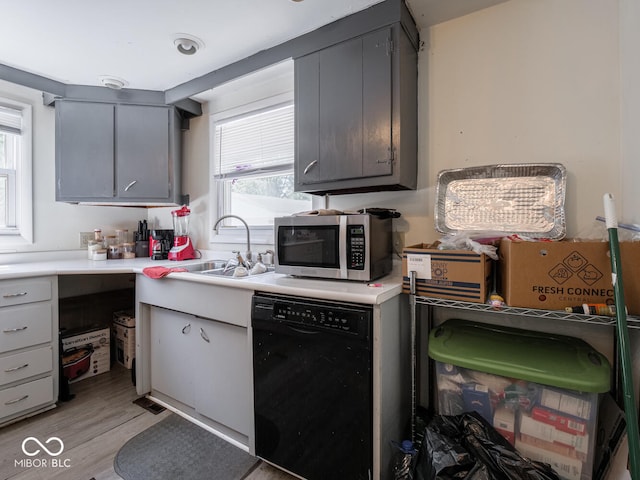 kitchen featuring gray cabinets, dishwasher, light hardwood / wood-style flooring, and sink