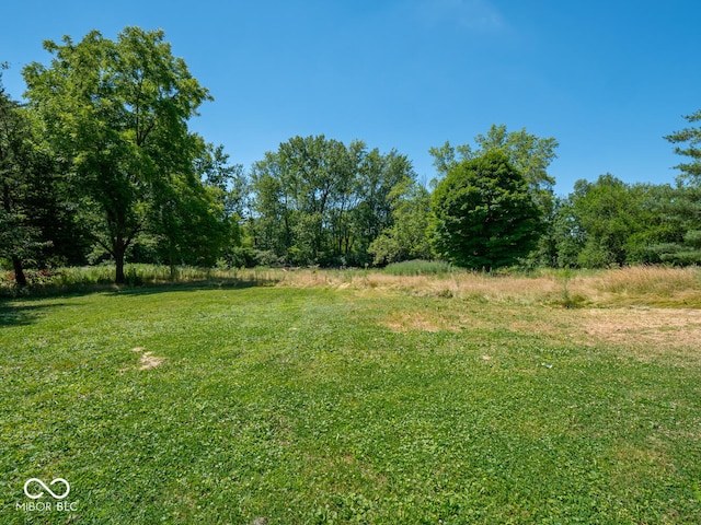 view of yard featuring a rural view