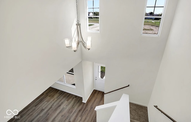 stairway featuring hardwood / wood-style floors