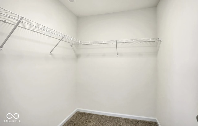 spacious closet with carpet