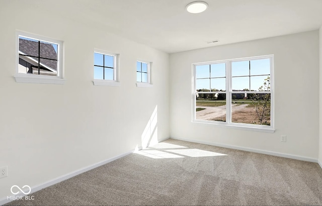 carpeted spare room with a healthy amount of sunlight