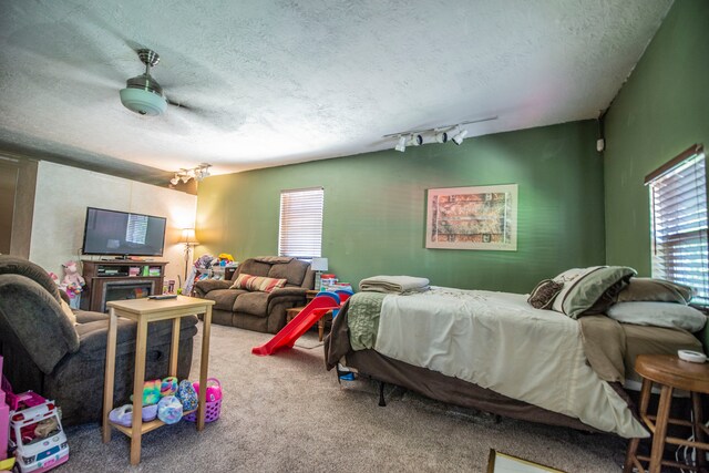 2925 Highwoods Dr, Indianapolis, IN 46222 - carpeted bedroom featuring a textured ceiling, multiple windows, and rail lighting